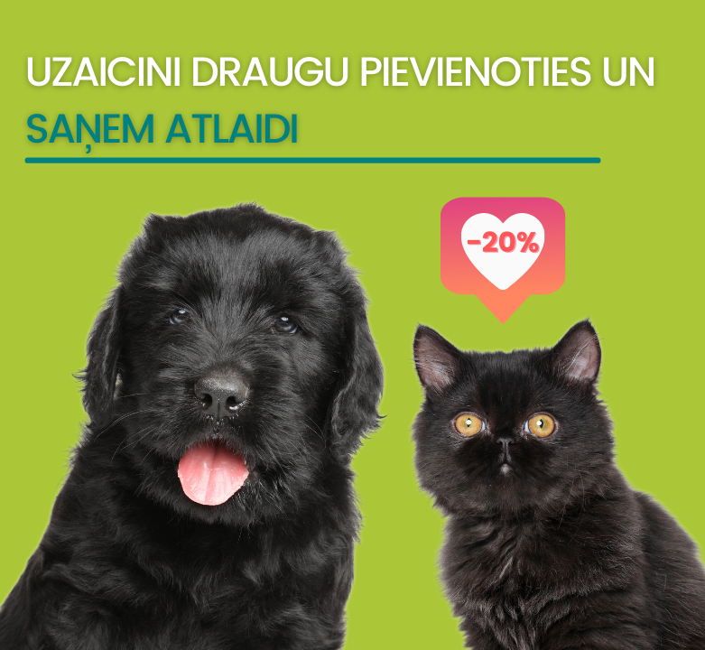 Draugu dienas atgriežas priekš Melnās Piektdienas izpārdošanas