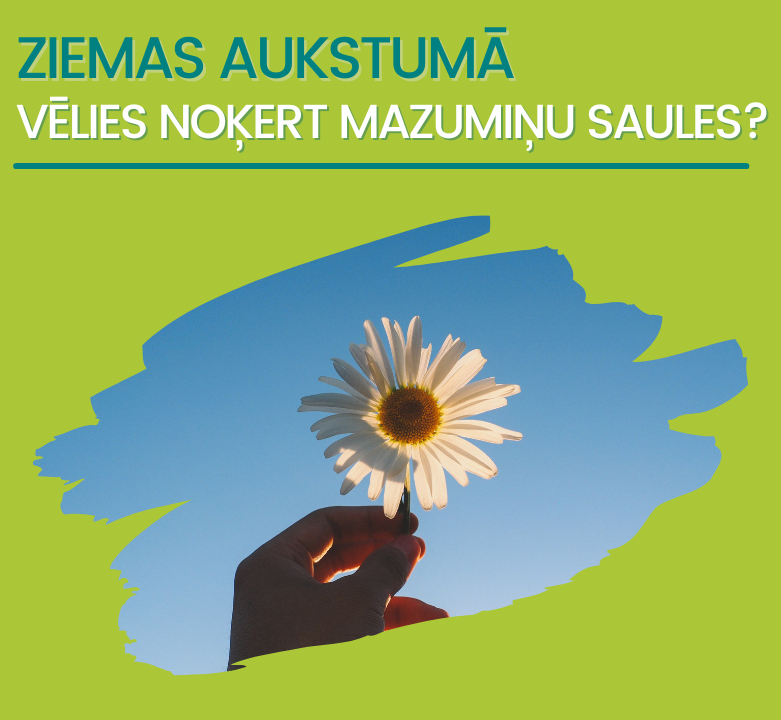 TOP piedāvājumi no siltajām zemēm!