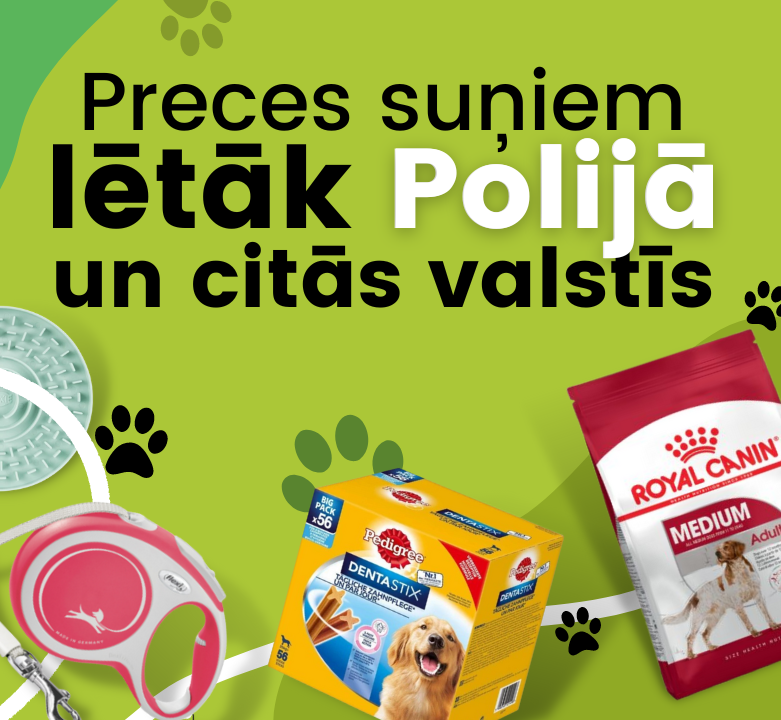 TOP piedāvājumi suņiem, kurus atradīsi ārzemju e-veikalos