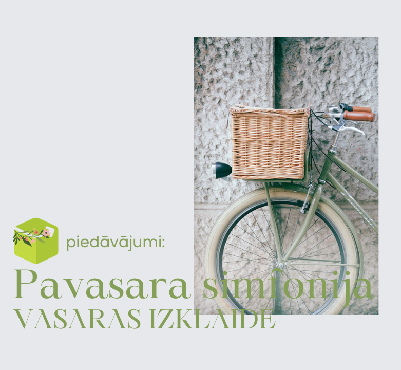 Dodies vasaras piedzīvojumos 🛹
