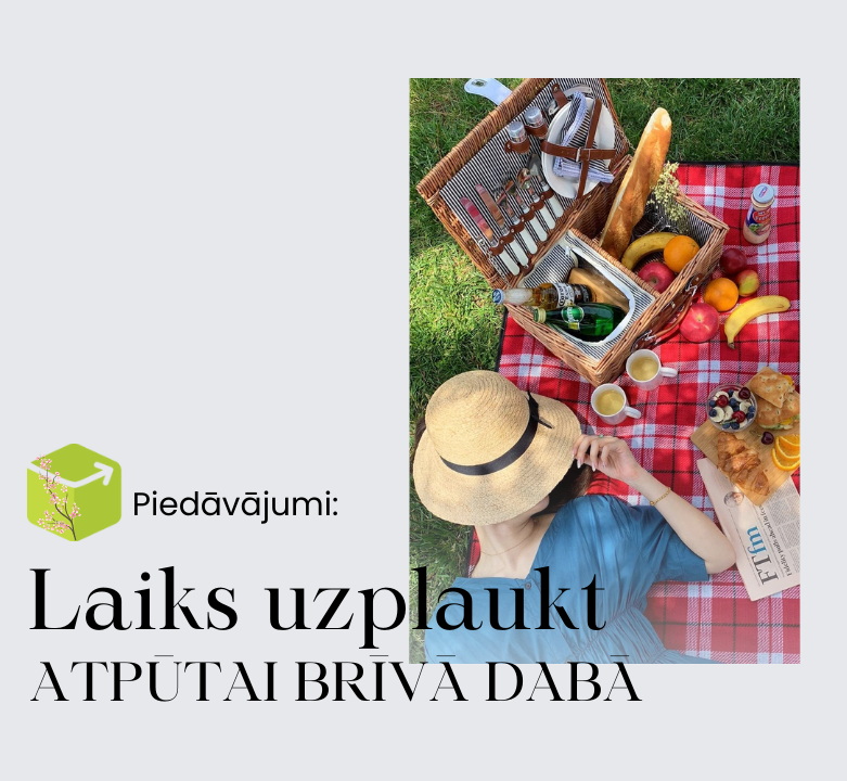 Viss piknikam ☀️🍓