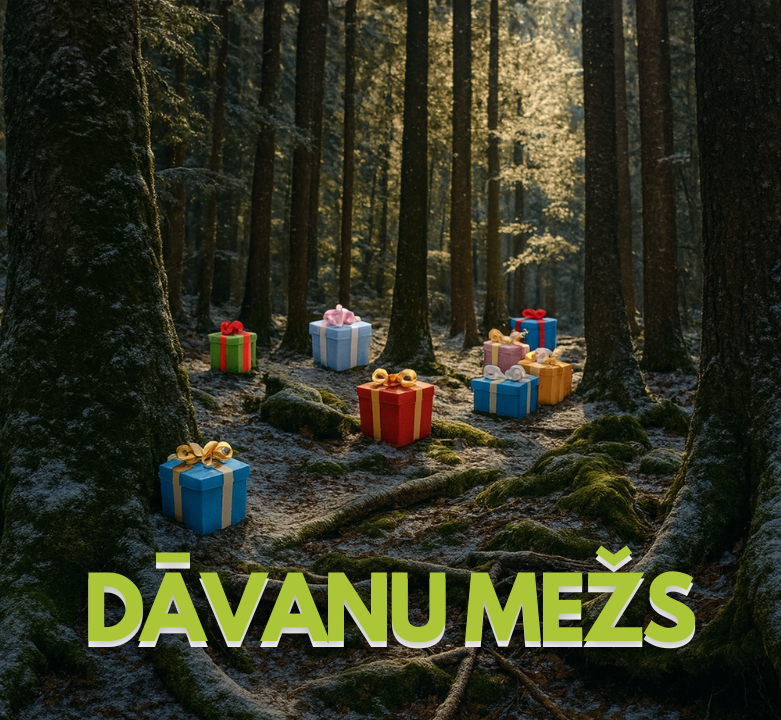 Dāvanu mežs: atklāj savu ideālo dāvanu starp 12 burvīgām izvēlēm 🌲✨🎁