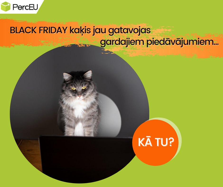 BLACK FRIDAY kaķis jau gatavojas gardajiem piedāvājumiem...