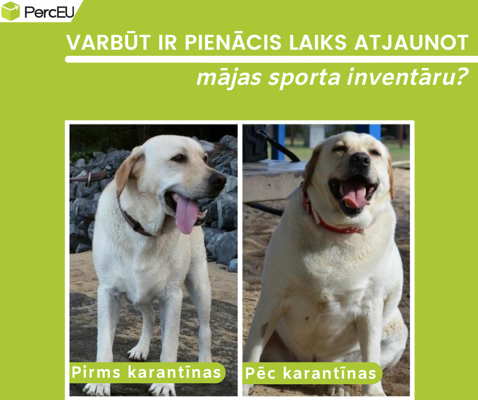Varbūt ir pienācis laiks atjaunot mājas sporta inventāru?