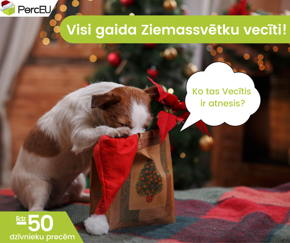 Visi gaida Ziemassvētku vecīti!